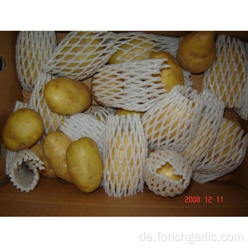 Export Standard gelbe frische Kartoffel